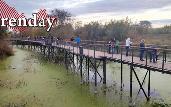 В Оренбурге открыли тропу мусора и амброзии