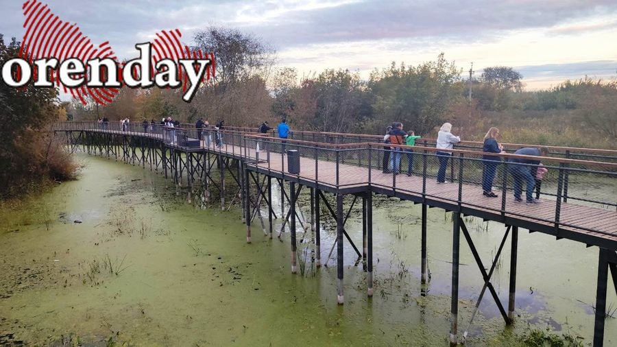 Понтоны для отдыха на воде