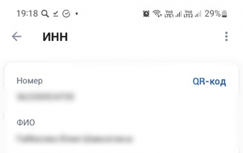 Казахстан приостановил дистанционное оформление ИИН для иностранцев: что это значит для оренбуржцев 
