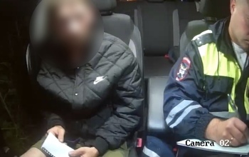 В Оренбуржье водитель ВАЗа удирал от ДПС по подсолнуховому полю