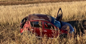 В Оренбуржье автоледи погибла в ДТП