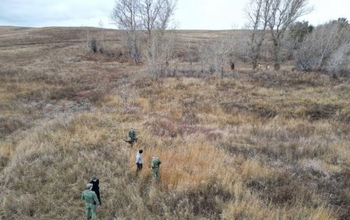 В полях Оренбуржья задержали нелегалов