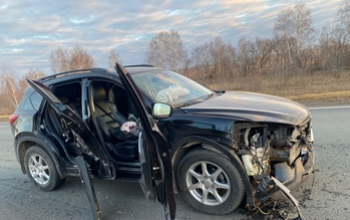 В Оренбуржье LADA снесла на трассе водителя и пассажира иномарки, вышедших посмотреть на сбитую косулю
