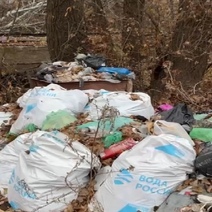 В Оренбурге возле пляжа 