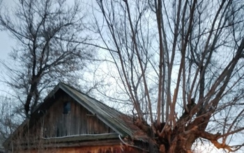 В Ташлинском районе во время пожара пострадал 26-летний мужчина