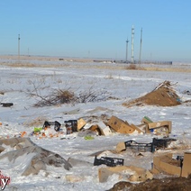 Депутат Госдумы: «Ликвидированные свалки в Оренбурге просто перенесли в другое место» 