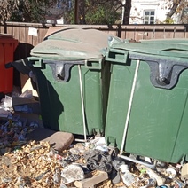 В Оренбурге началась массовая обработка площадок ТКО от крыс 