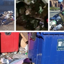 Оренбуржцы считают, что лучший способ борьбы с крысами - привести в порядок площадки ТКО 