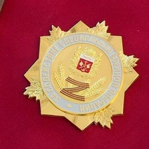 В Оренбуржье в списке награжденных «за содействие СВО» всего 3 депутата и 3 главы МО 