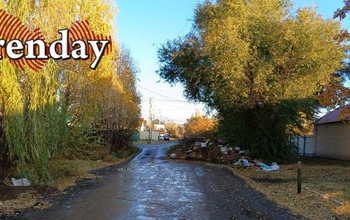 Депутаты Заксоба Оренбуржья согласились с предложением мэра ввести штрафы на горожан за неуборку территорий