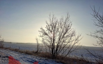 Многодетные семьи в Оренбуржье могут бесплатно получить земельный участок или выплату вместо него