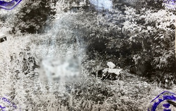 В Оренбурге только спустя 26 лет смогли раскрыть убийство 19-летней девушки (18+)