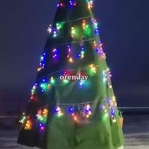 Ёлка из оренбургской глубинки прославилась на всю Россию 