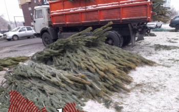 В Оренбурге начали закрываться ёлочные базары