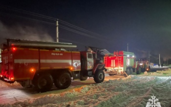 Прокуратура Оренбургской области начала проверку после пожара, унесшего жизни двоих детей