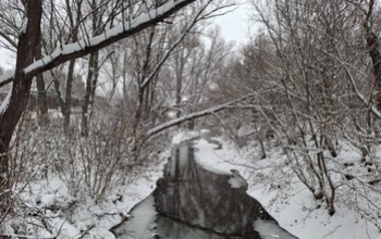  Толщина льда на водоемах Оренбургской области не везде безопасная