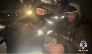 В Оренбурге от огня в многоэтажке пришлось спасать взрослых, детей и животных