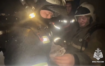 В Оренбурге от огня в многоэтажке пришлось спасать взрослых, детей и животных