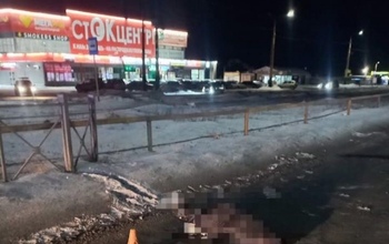 Дело сбитых насмерть на 