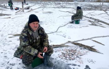 «Зима, холода - ловим рыбку из пруда!»: оренбургские рыбаки делятся своими уловами