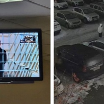 БМВ, уничтоженный поджигателями, принадлежал оренбургской телеведущей Елене Смирновой