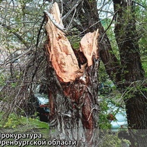 Шла, никого не трогала: жительница Новотроицка получит 300 000 рублей за происшествие во дворе 