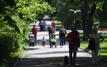 В голосовании за объекты благоустройства по программе ЕР приняло участие рекордное количество человек