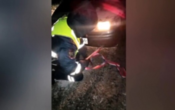 Полицейские в Оренбуржье помогли водителю, оставшемуся без бензина, добраться до заправки