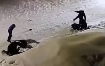 В центре Медногорска во дворе многоэтажек произошло демонстративное избиение (18+)