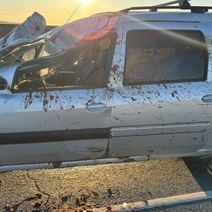 В Домбаровском районе автомобилист на скорости сбил лошадь, животное погибло