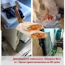 В Орске выявили опасную шаурму