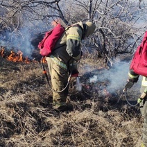 В Оренбуржье тушат крупное возгорание между поселком Степной и селом Ора