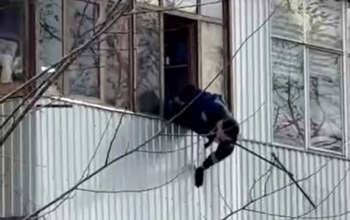 Домой особо не спешил: в Оренбурге с карниза спасали кота