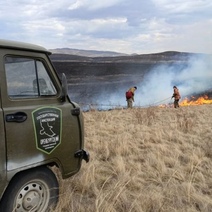 В Оренбуржье степной пожар едва не добрался до заповедника «Оренбургский»