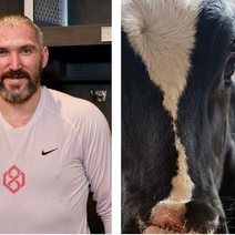 В Оренбуржье Александра Овечкина ждет телочка под номером 8 895