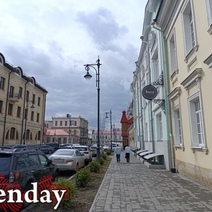 В Оренбурге возле Эрмитажа украли гортензии и можжевельник