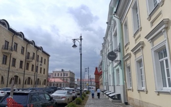 В Оренбурге возле Эрмитажа украли гортензии и можжевельник
