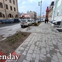 В Оренбурге элитная ель, похищенная около Эрмитажа, была обменяна на алкоголь