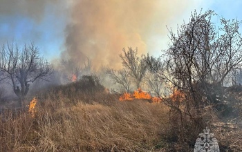 В Орске горит трава и камыш