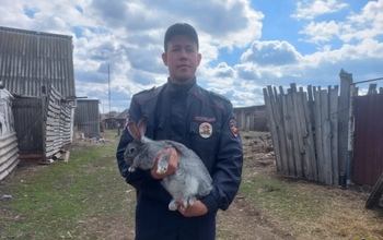 Кроличий бизнес обернулся для 18-летнего оренбуржца уголовным делом