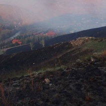 В Гайском округе тушат крупный пожар вблизи населенных пунктов