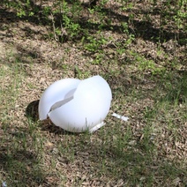 В Орске вандалы разгромили два парка