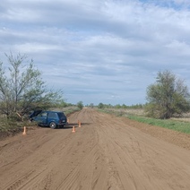 В Оренбуржье пенсионер на Lada Niva «нашел» в поле дерево