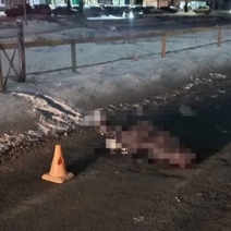 Начинающий водитель, насмерть сбивший в Орске на «зебре» двух пенсионерок, предстанет перед судом (18+)