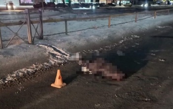 Начинающий водитель, насмерть сбивший в Орске на «зебре» двух пенсионерок, предстанет перед судом (18+)