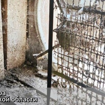 В Илекском районе ребенок пролез на птицеферму и получил смертельный удар током