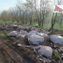 Настоящее свинство: лесопосадки Оренбурга завалены отходами и мусором