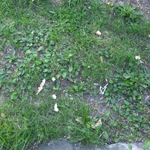 В Оренбурге в частном секторе пошёл «дождь» из монтажной пены