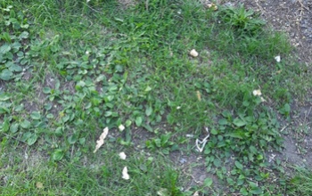 В Оренбурге в частном секторе пошёл «дождь» из монтажной пены