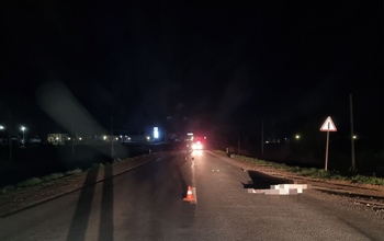 В Оренбуржье ВАЗ насмерть сбил пешехода и слетел в кювет (18+)